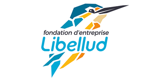 libelud