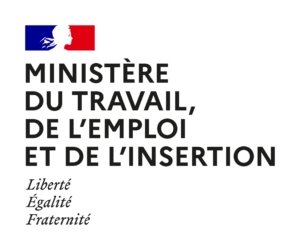 logo du ministère du travail, de l'emploi et de l'insertion