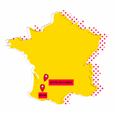 Nos territoires Katapult SESAME : Programme d'accompagnement de jeunes